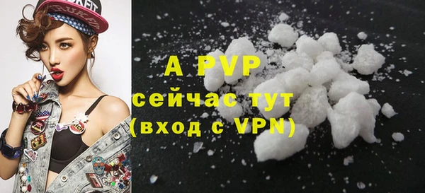 эйфоретик Осташков